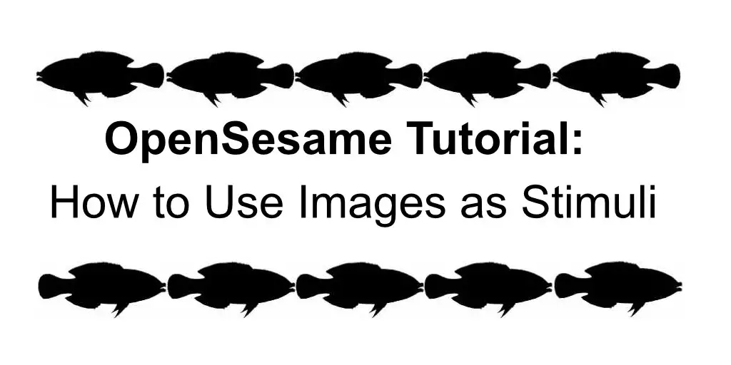 OpenSesame Tutorial: How to use Image Stimuli
