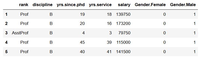 Indicator Variables in Python - separator for prefix changed