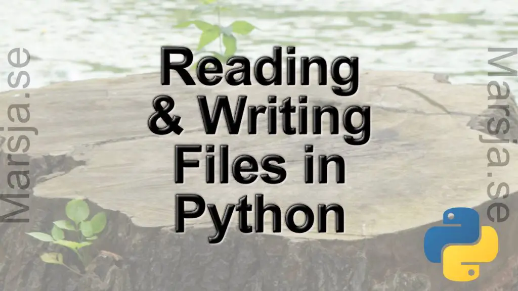 How to Read a File (.txt) in Python 3