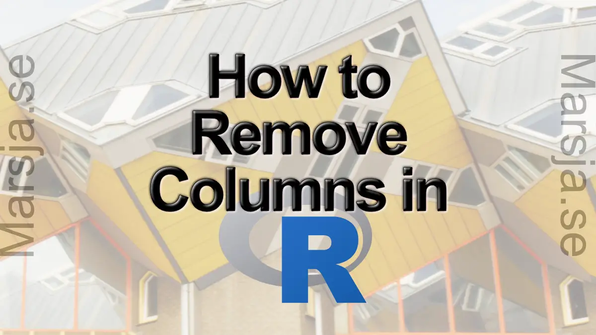 how to remove a column in R statistical environment