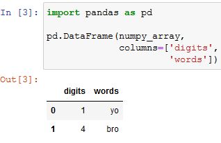 how to convert numpy array to pandas dataframe code example