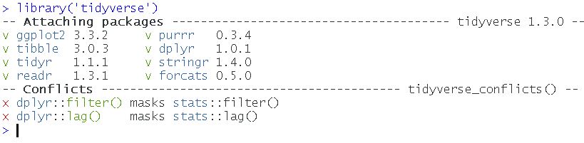 loading tidyverse, for example, to use packages to drop columns in R