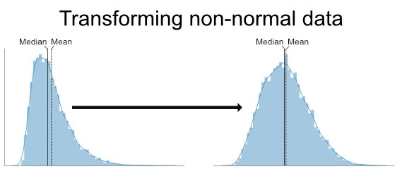 Transforming skewed data in Python