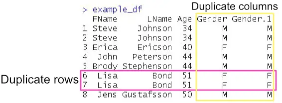 data frame with duplicate rows and columns