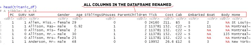 all column names in dataframe changed
