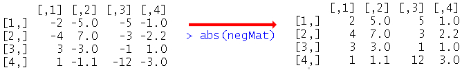 r absolute value of matrix