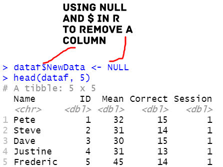 using $ in R to drop a column