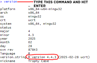 here's how you can check which version of R you're running