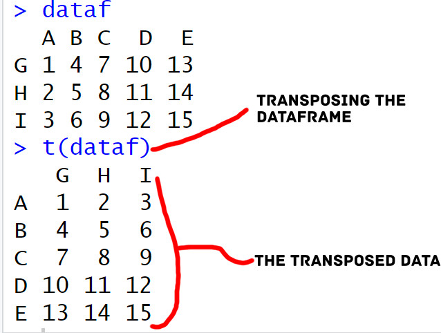 transpose dataframe in R