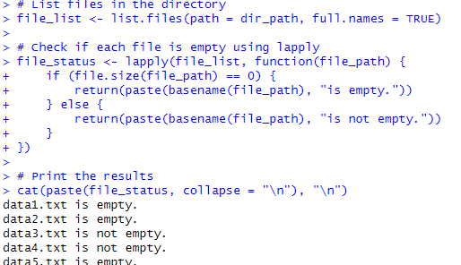 see which files are empty or not in R