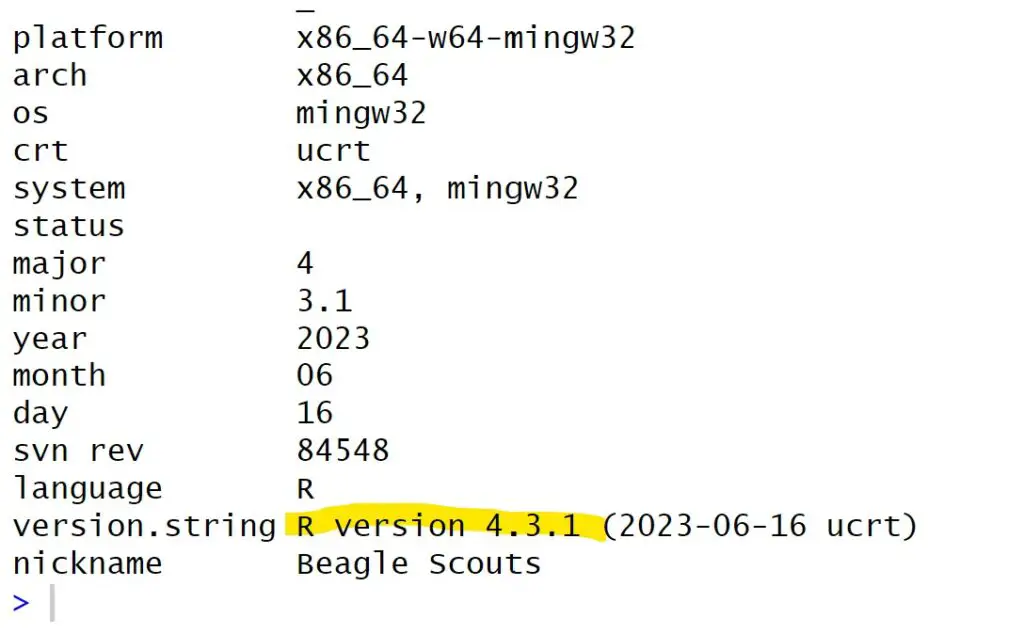 extract R version in RStudio