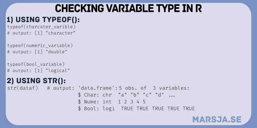 check variable type in R
