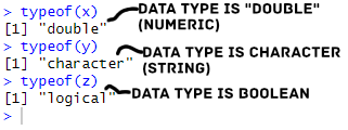 use typeof() to get data type in R