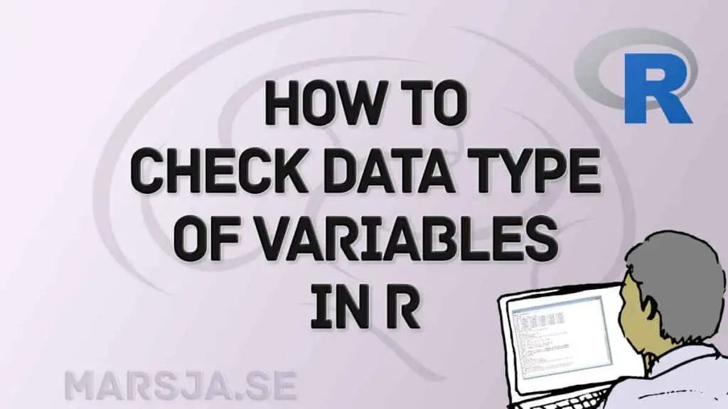 check data type in r