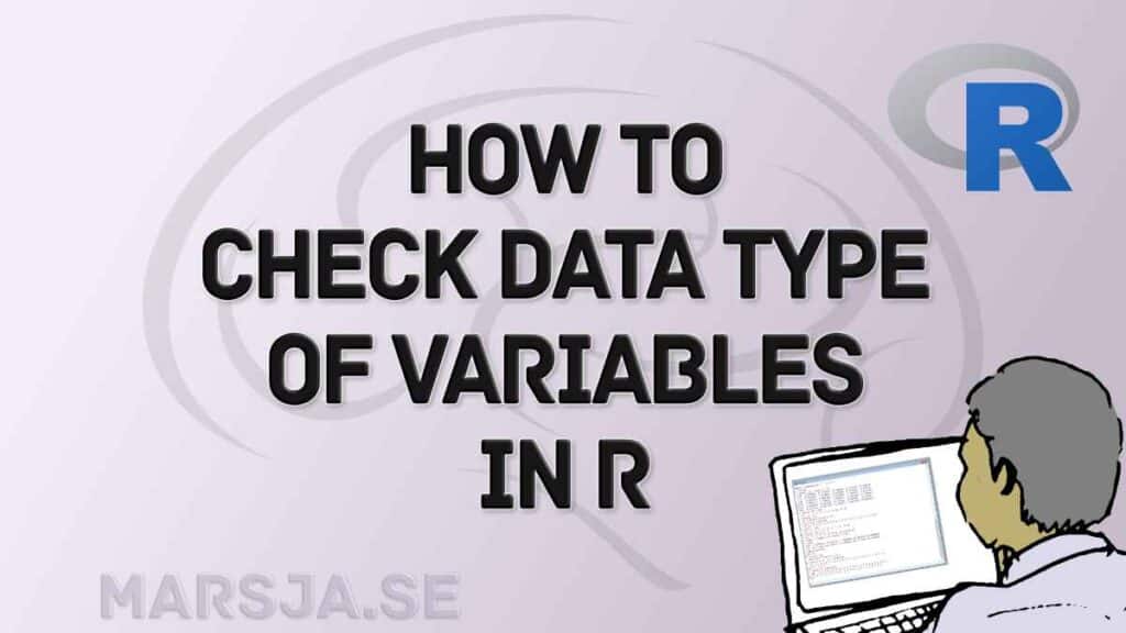 check data type in r