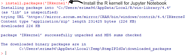 installing the R kernel